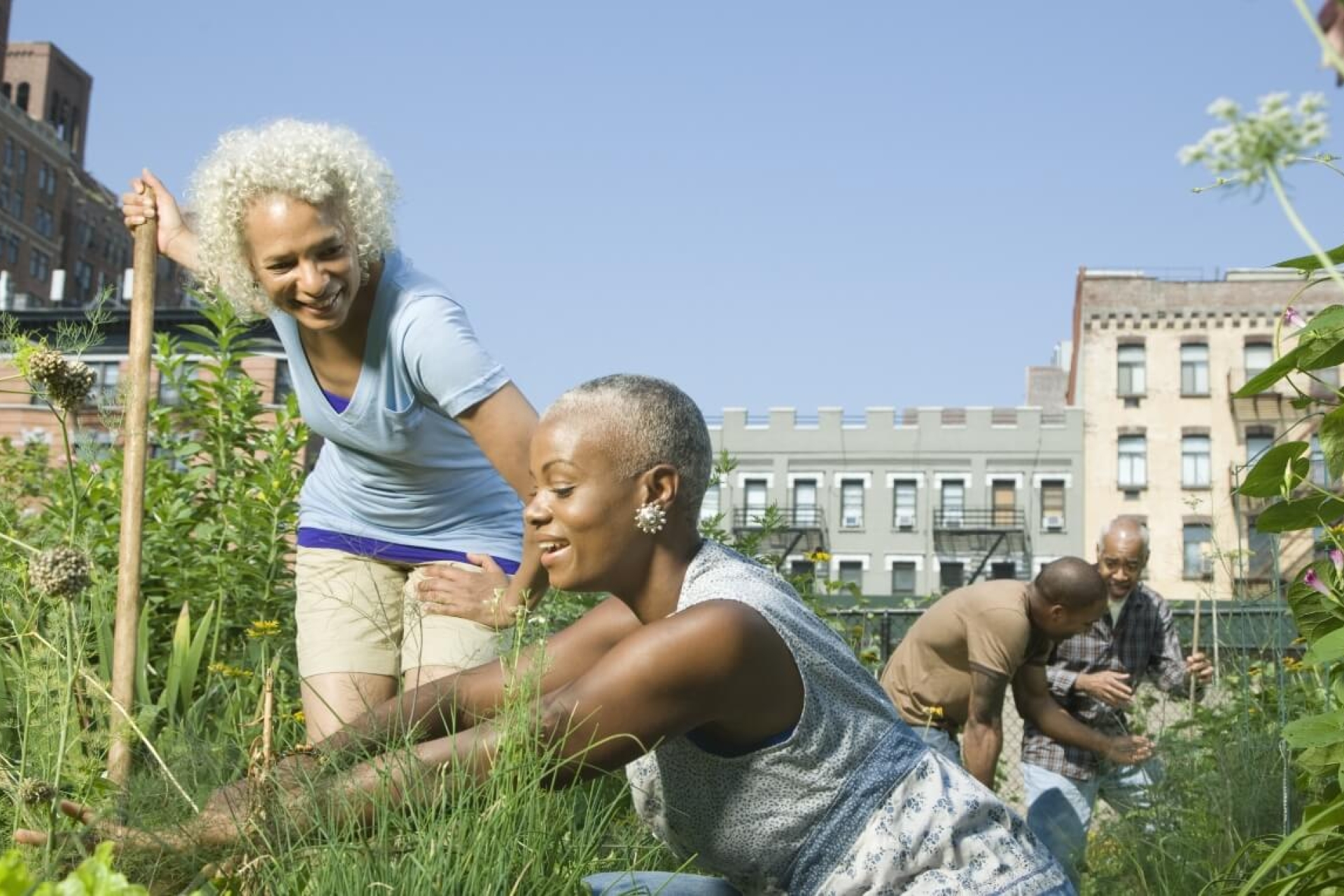 Assistenza alla comunit&agrave;