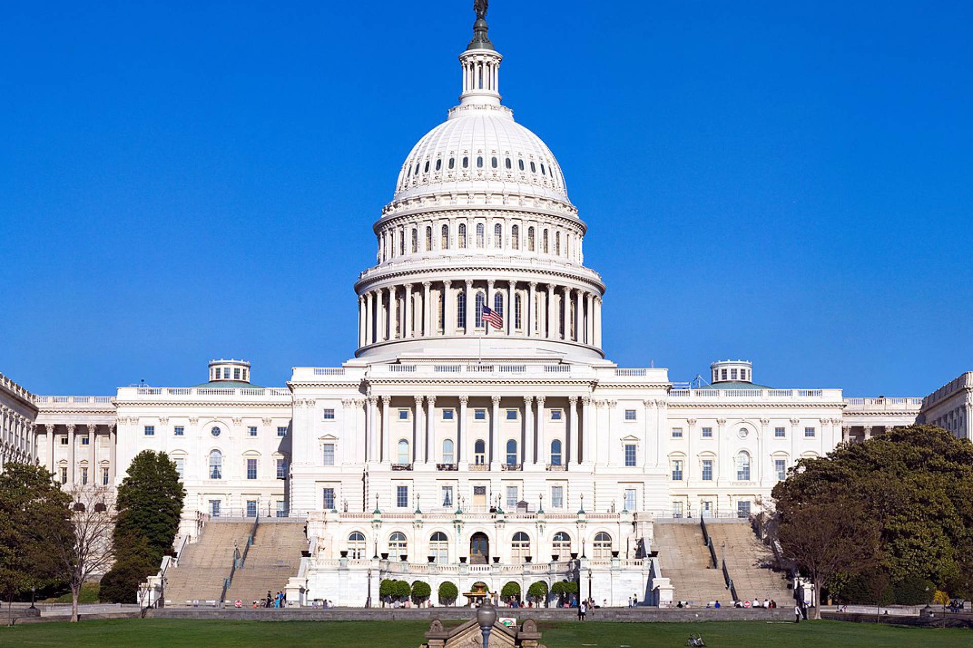 Introduction to Government