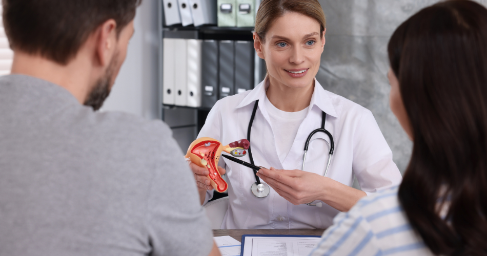 Sostenere la legislazione sulla giustizia riproduttiva a New York